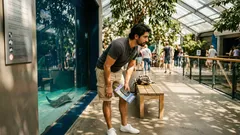 Zeedieren in het Engels onthouden: mini-quiz met jellyfish, seahorse, clownfish en ray